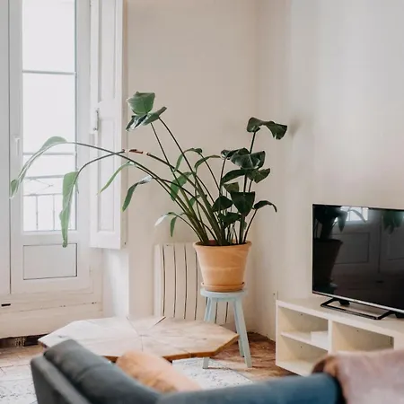 Le Nid Des Carmes, Cœur De Wi-fi