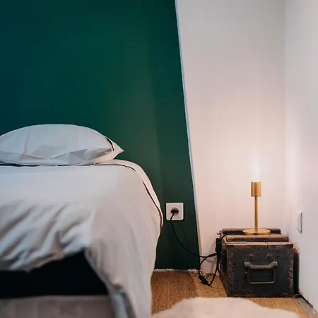 Appartement Le Nid Des Carmes, Cœur De Wi-fi
