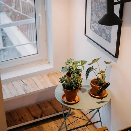 Appartement Le Nid Des Carmes, Cœur De Wi-fi